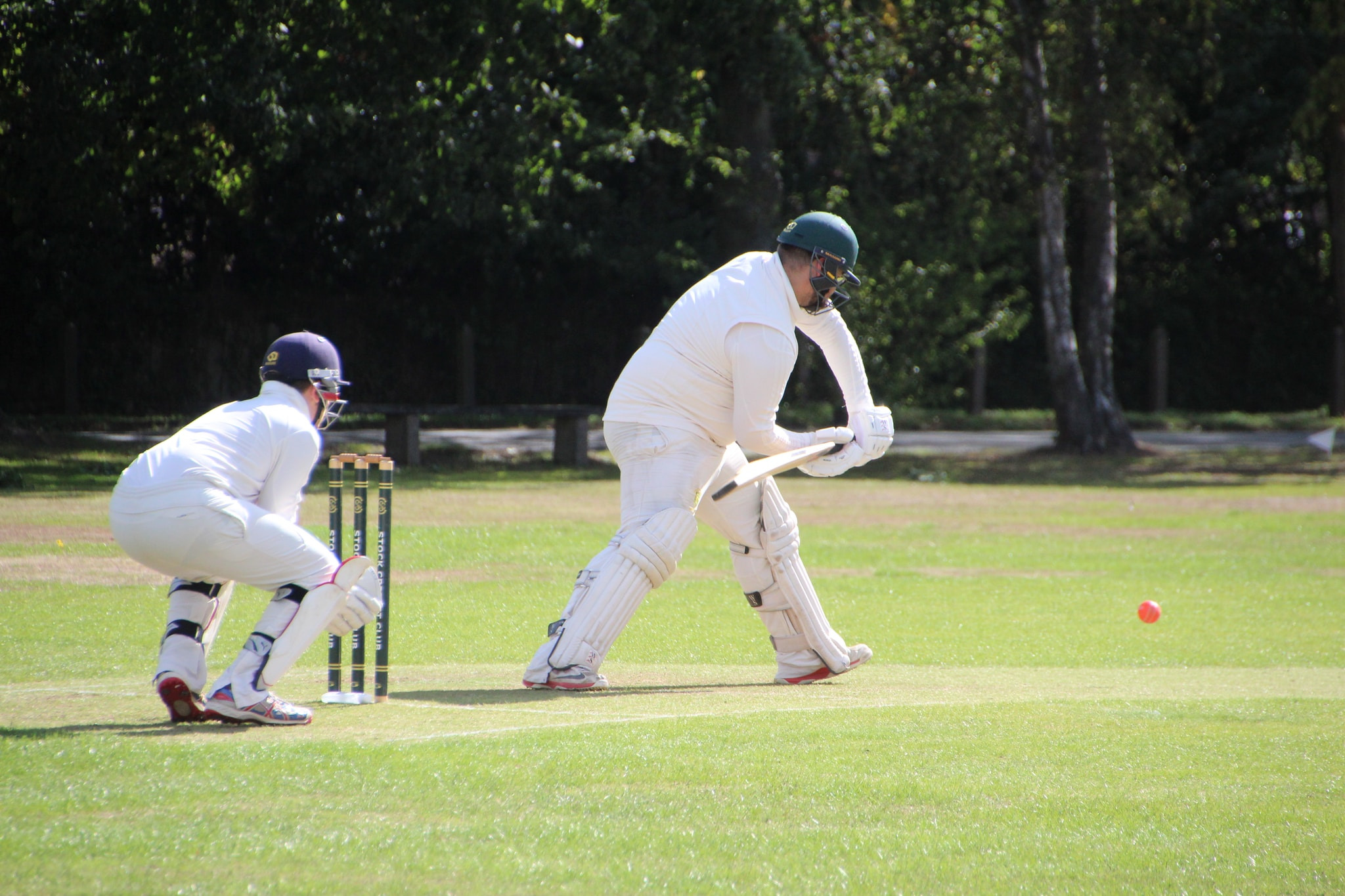 cricket