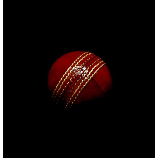 cricket%20ball